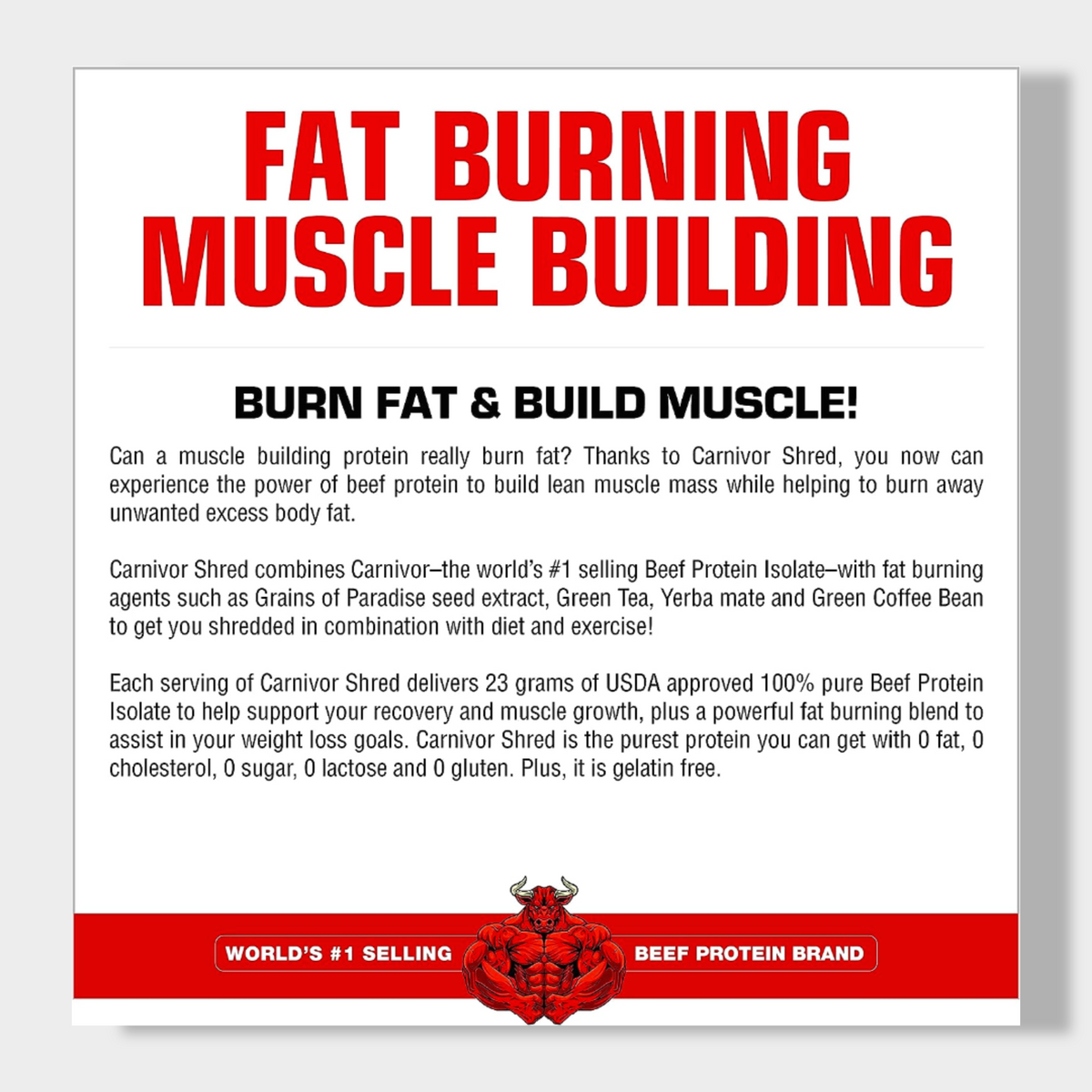 MuscleMeds Carnivor Shred Fat Burning Hydrolized Beef Protein Isolate | 4.35lbs