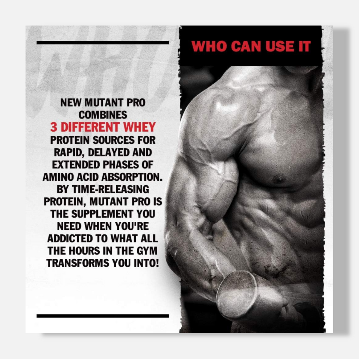 Mutant Pro Triple Whey Blend | 5lbs