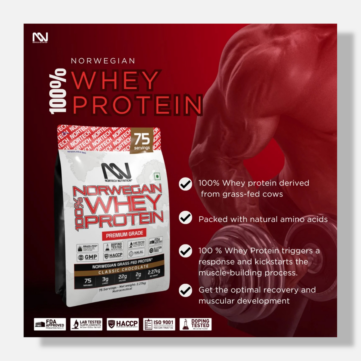 Nortech Nutrition 100% Whey Protein | 5lbs