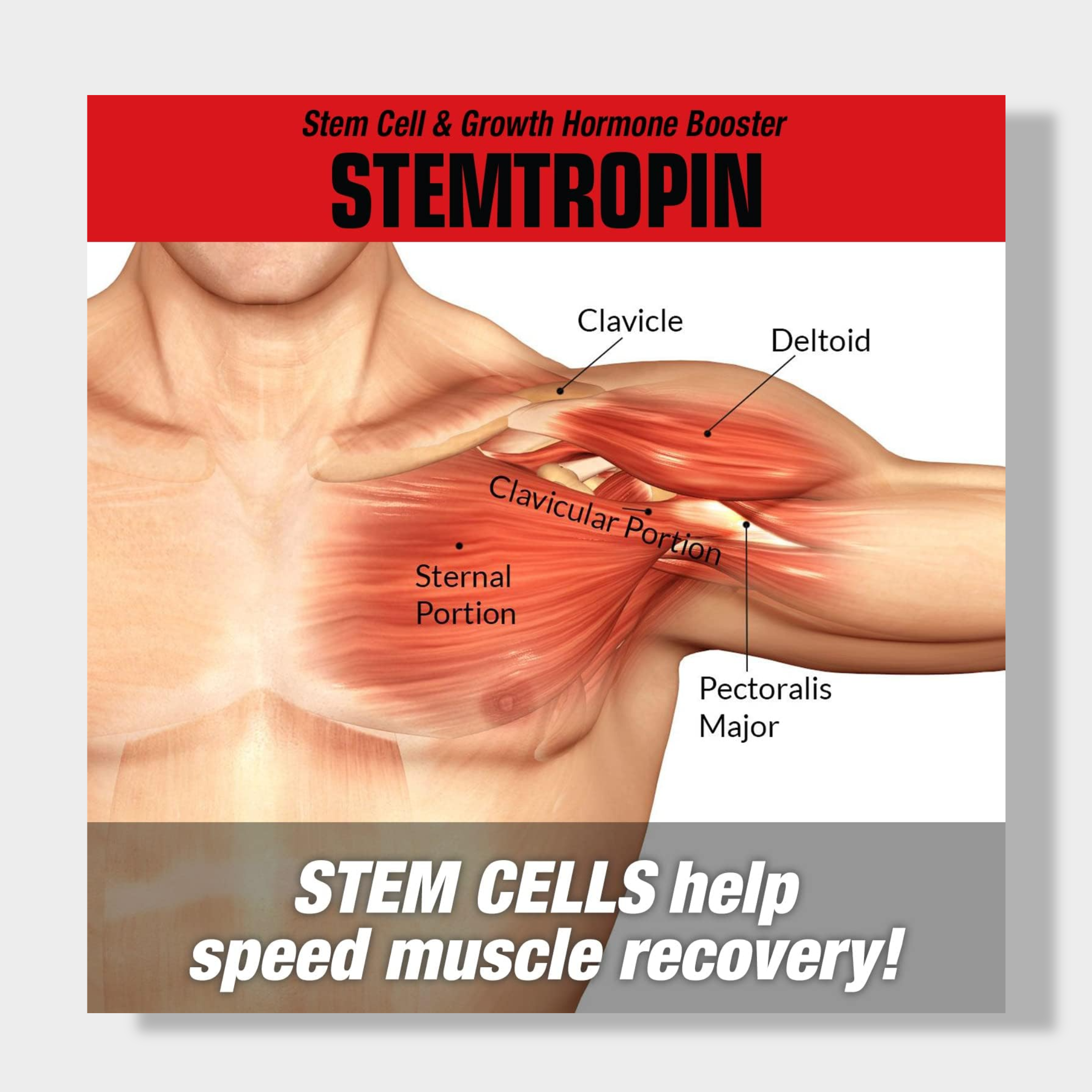 MuscleMeds Stemtropin Stem Cell & Growth Factor Booster