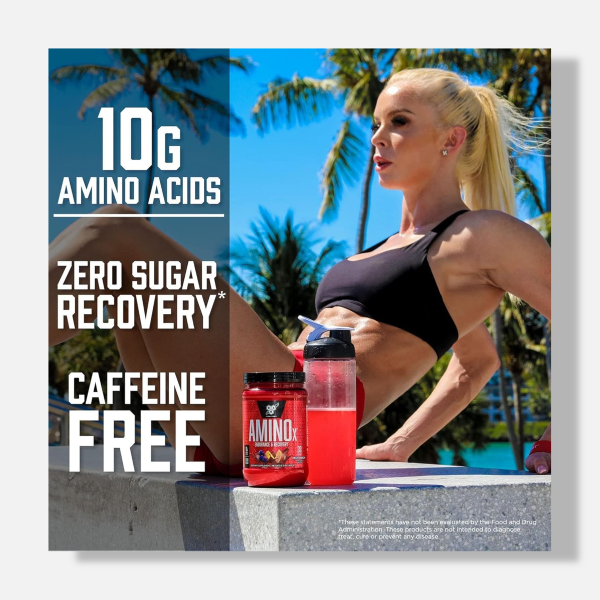 BSN Amino X | 435g