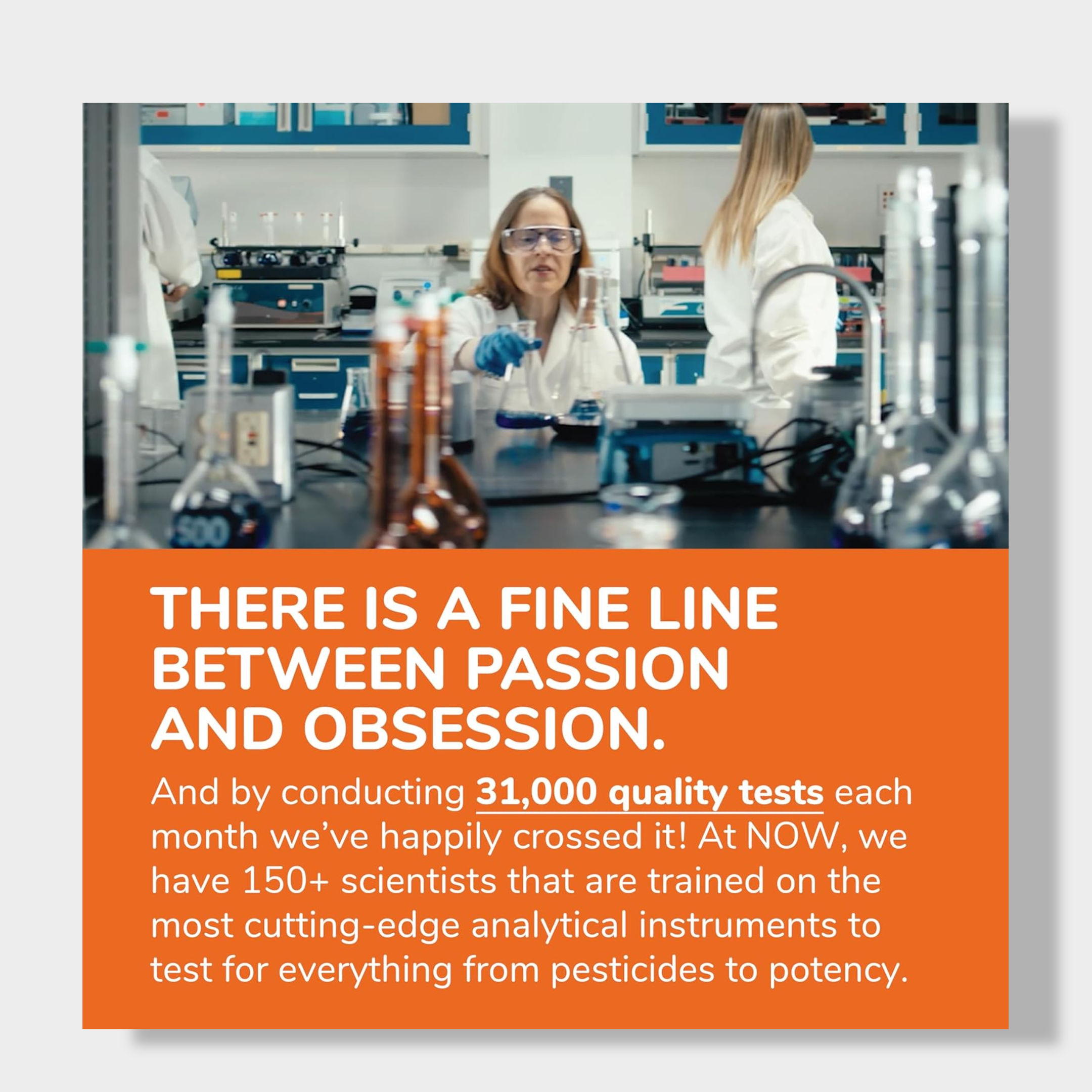 Now Foods Joint Support