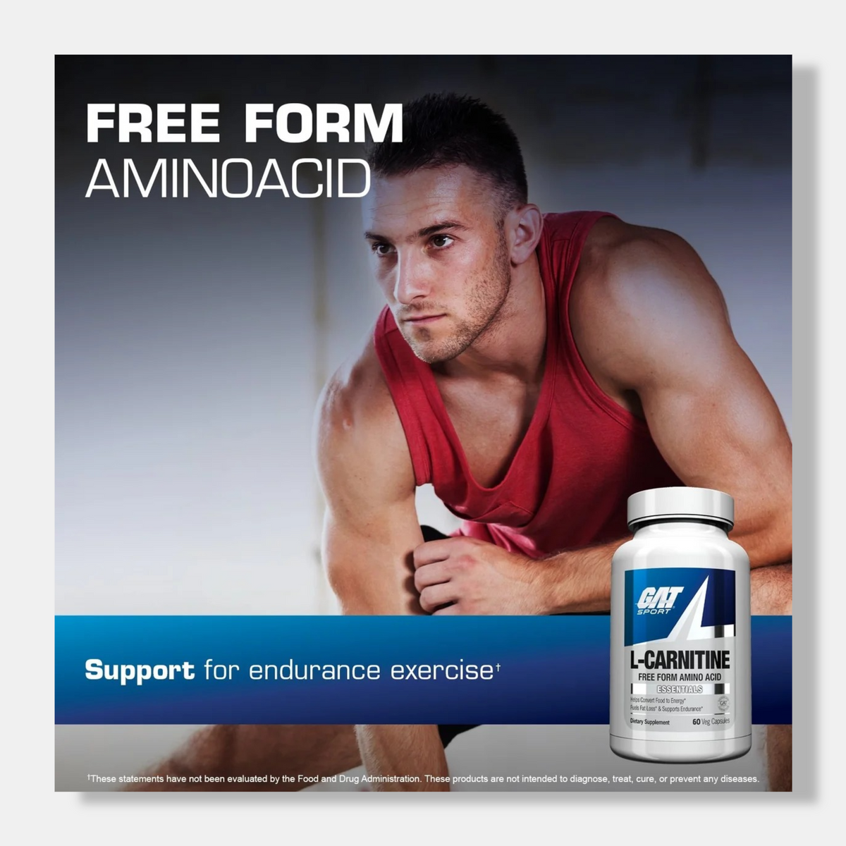 GAT Sport L-Carnitine
